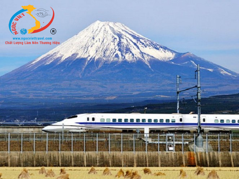 TOUR NHẬT BẢN - TRƯỢT TUYẾT VÀ NGẮM HOA MƠ - TẾT NGUYÊN ĐÁN 2026