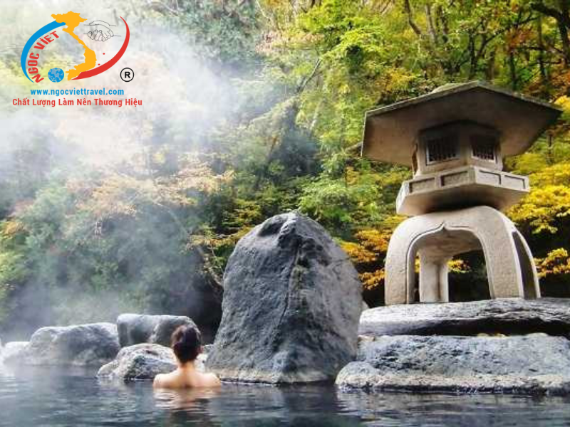 TOUR NHẬT BẢN - TRƯỢT TUYẾT VÀ NGẮM HOA MƠ - TẾT NGUYÊN ĐÁN 2026