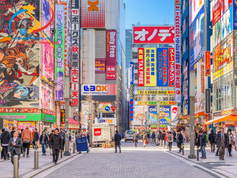 TOUR NHẬT BẢN - TRƯỢT TUYẾT VÀ NGẮM HOA MƠ - TẾT NGUYÊN ĐÁN 2026