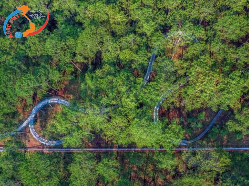 TOUR ĐÀ LẠT, TẾT BÍNH NGỌ - GIAO LƯU CỒNG CHIÊNG - MONGO LAND – KDL FRESH GARDEN - SAMTEN HILL