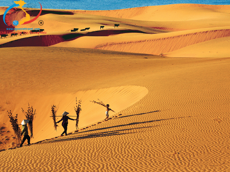 PHAN THIẾT - TRẢI NGHIỆM XE JEEP CHINH PHỤC MŨI NÉ