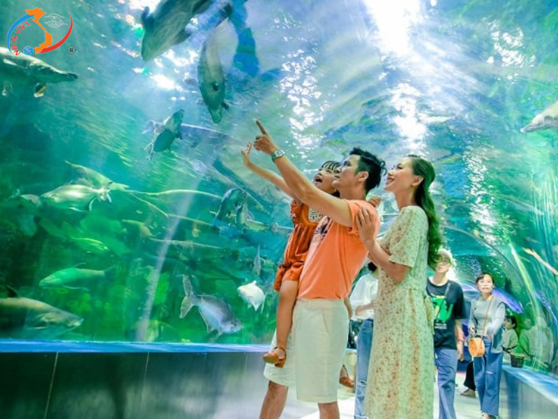 NHA TRANG 3N3D – VỊNH SAN HÔ - CHINH PHỤC CÁP TREO VINPEARL HARBOUR